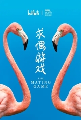 BBC.求偶游戏  The Mating Game |  
