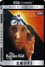 4k 龙威小子3 全景声 The Karate Kid Part III