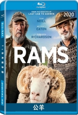 公羊 Rams |  