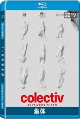 集体  科莱采夫 | Collective