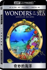 4K 奇妙的海洋 Wonders of the Sea