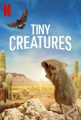 微观世界 第一季 小动物的未知世界| Tiny Creatures