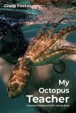 我的章鱼老师 我的八爪鱼老师 | My Octopus Teacher