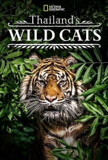 泰国野生猫科 .Thailands.Wild.Cats