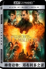 4K 神奇动物：邓布利多之谜  Fantastic Beasts: The Secrets of Dumbledore