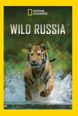 野性俄罗斯 第二季 Wild Russia Season