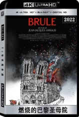 4K 燃烧的巴黎圣母院 Notre-Dame brûle