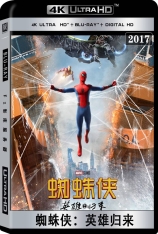 4K 蜘蛛侠：英雄归来 国语 蛛侠3：无家可归 | Spider-Man 3 