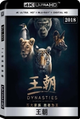 BBC 王朝 第一季 4K Dynasties Season 1
