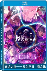 命运之夜——天之杯Ⅲ：春之歌 命运之夜 天之杯 第一章 | Fate/stay night [Heaven's Feel] I. presage