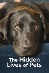 宠物的秘密生活 第一季 The Hidden Lives of Pets