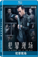 犯罪现场  A Witness out of the Blue |  2019年热门必看 