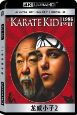 4K 龙威小子2 全景声 小子难缠续集 | The Karate Kid Part II