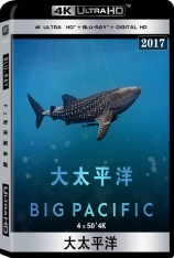 4K 大太平洋  Big Pacific |  