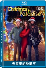 天堂里的圣诞节 天堂圣诞节 | Christmas in Paradise