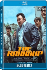 犯罪都市2 犯罪都市：极拳执法(港) | The Roundup