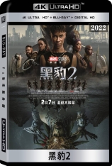 4K.黑豹2 全景声  Black Panther II | 黑豹：瓦坎达万岁 