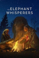 小象守护者 The Elephant Whisperers | 小象守护者