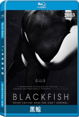 黑鲸 Blackfish