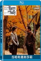 当哈利遇到莎莉 When Harry Met Sally | 90男欢女爱 