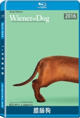 腊肠狗 Wiener-Dog | 腊肠狗四围走（港）