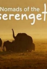4K.塞伦盖蒂游牧者 Nomads of the Serengeti