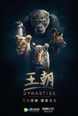 BBC 王朝 第一季 Dynasties Season 1 |  BBC 王朝