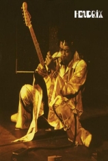 吉米·亨德里克斯：伍德斯托克现场_1999 Jimi_Hendrix_Live_at_Woodstock