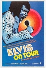 猫王巡回演出 Elvis on Tour