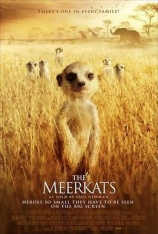 蒙哥.国语 The Meerkats |  狐獴家庭