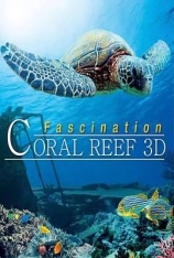 魅力珊瑚礁 Faszination Korallenriff 3D| 珊瑚探奇