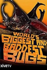 虫霸天下 深入记录世界上最毒的虫类 | World's Biggest and Baddest Bugs