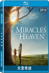 天堂奇迹 Miracles from Heaven | 天堂奇愈记(港)