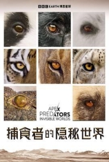 4K.捕食者的隐秘世界.国语 Apex Predators: Invisible Worlds