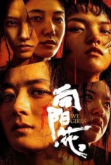 4K.向阳·花 出狱女子的故事 | We Girls