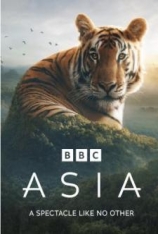 4K.亚洲.国语（2.0音轨，带台标） Asia
