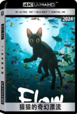 4K.猫猫的奇幻漂流 Straume | 黑猫的奇幻漂流 | 第82届金球奖 电影类 最佳动画长片
