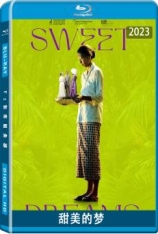 甜美的梦 Sweet Dreams