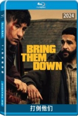 打倒他们 Bring Them Down