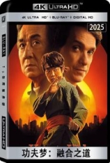 4K.功夫梦：融合之道.全景声 Karate Kid: Legends | 功夫梦：传奇少年(港)