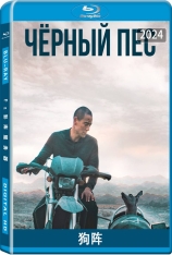 狗阵 狗镇  | 斗狗 | Black Dog | 第77届戛纳电影节 一种关注单元 一种关注大奖