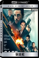 4K.铜斑蛇 Safe House