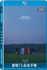 旋转门：永远不够.全景声 Turnstile: Never Enough