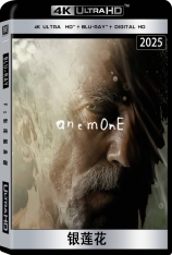 4K.银莲花.全景声 Anemone | 第28届英国独立电影奖 最佳音乐(提名)