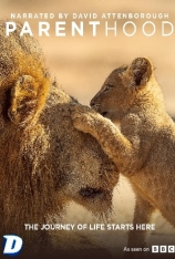 BBC 宝贝星球 (国语2.0音轨) Parenthood