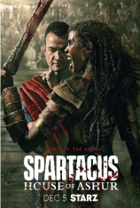 斯巴达克斯：亚述家族 Spartacus: House Of Ashur