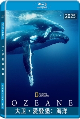 大卫·爱登堡：海洋 Ocean with David Attenborough