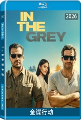 金谍行动 In the Grey